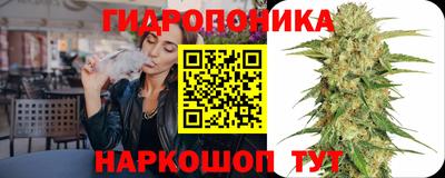 apvp Ирбит