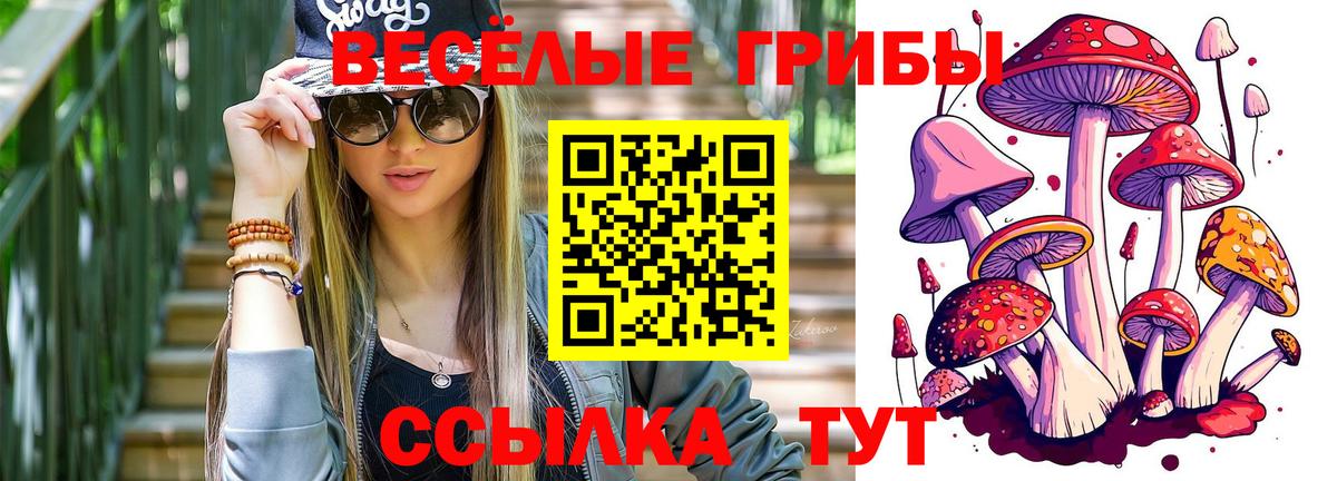 Псилоцибиновые грибы Psilocybe Лосино-Петровский